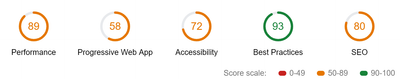 Lighthouse Audit Score