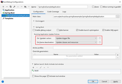 Intellij IDEA Spring Boot Run Configuration