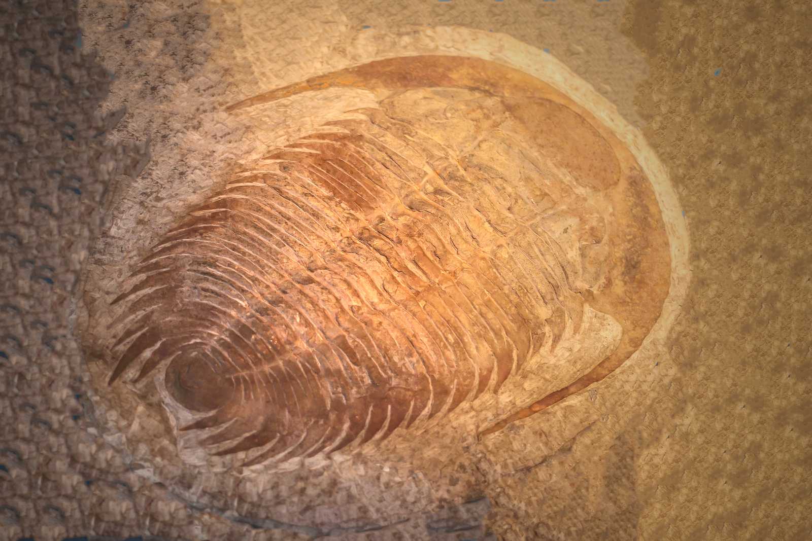 History of Java interface feature changes History of Java interface feature changes